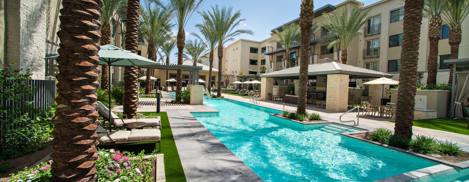 a pool surrounded by palm trees
