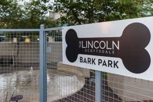 Bark park at The Lincoln Scottsdale, the nicest apartments in Scottsdale