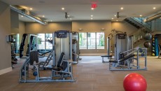 The Lincoln Scottsdale fitness