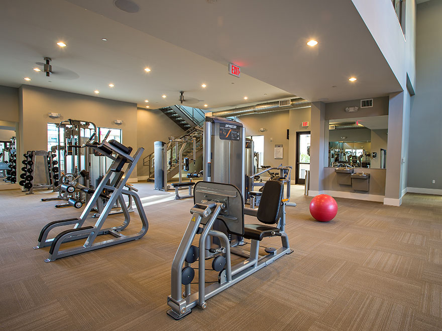 Corporate and Commercial Photographer for Worldwide Assignments